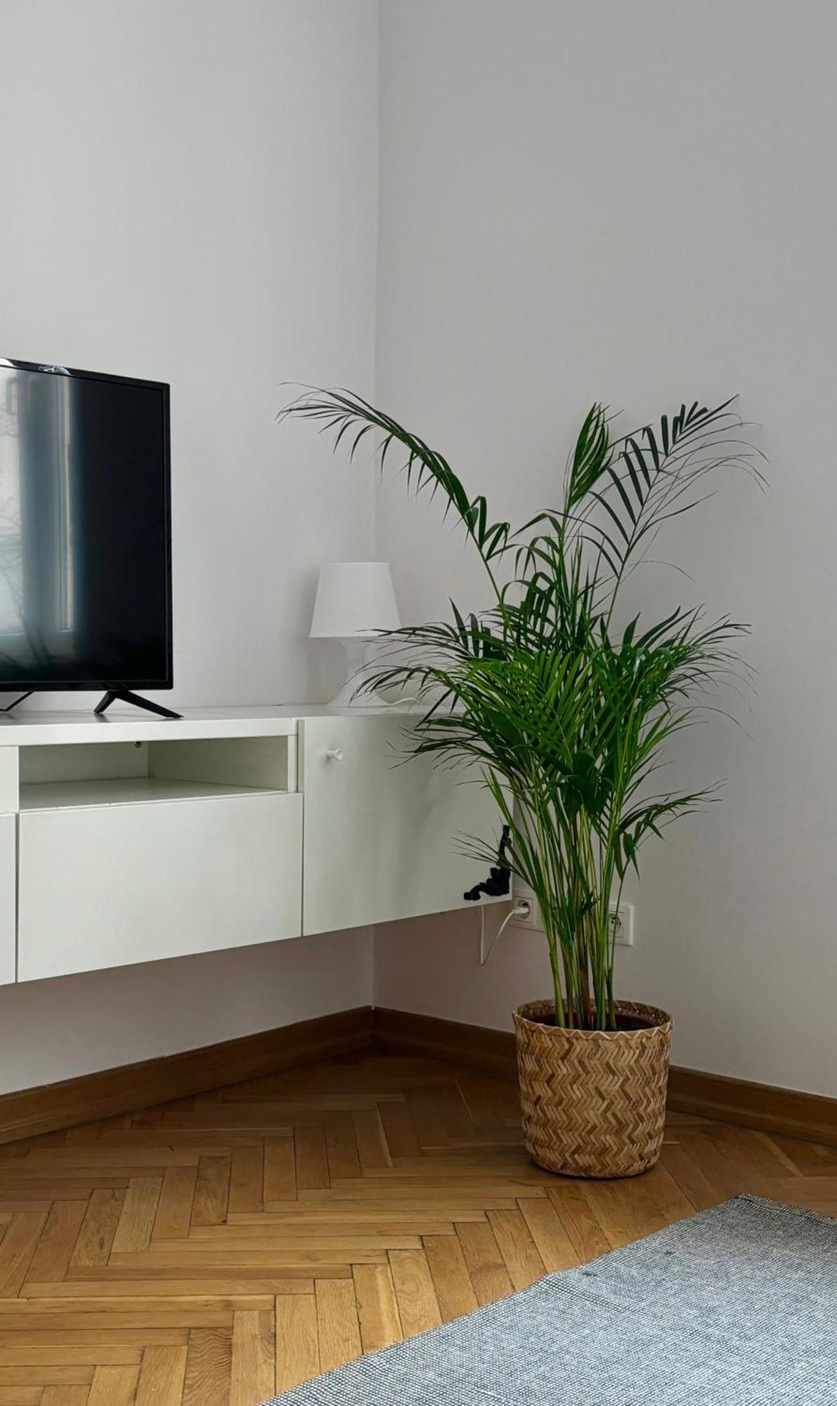 Apartament K3 Varsavia Esterno foto